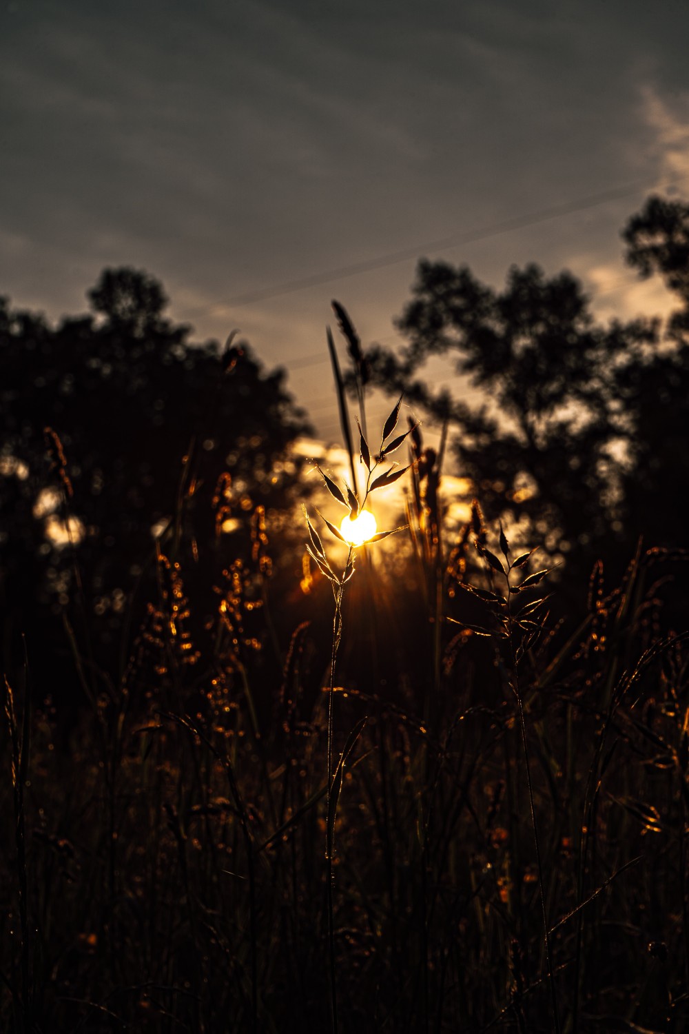 Eating Disorder Clinic in Maitland and Newcastle - Breanna Elphick